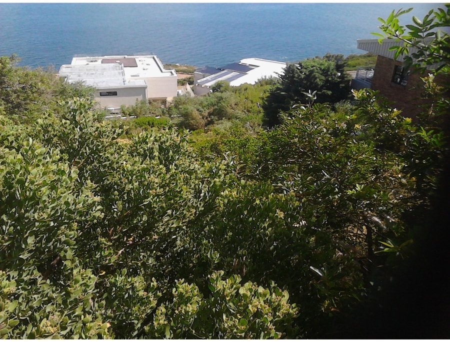 Commercial Property for Sale in Mountainside Western Cape